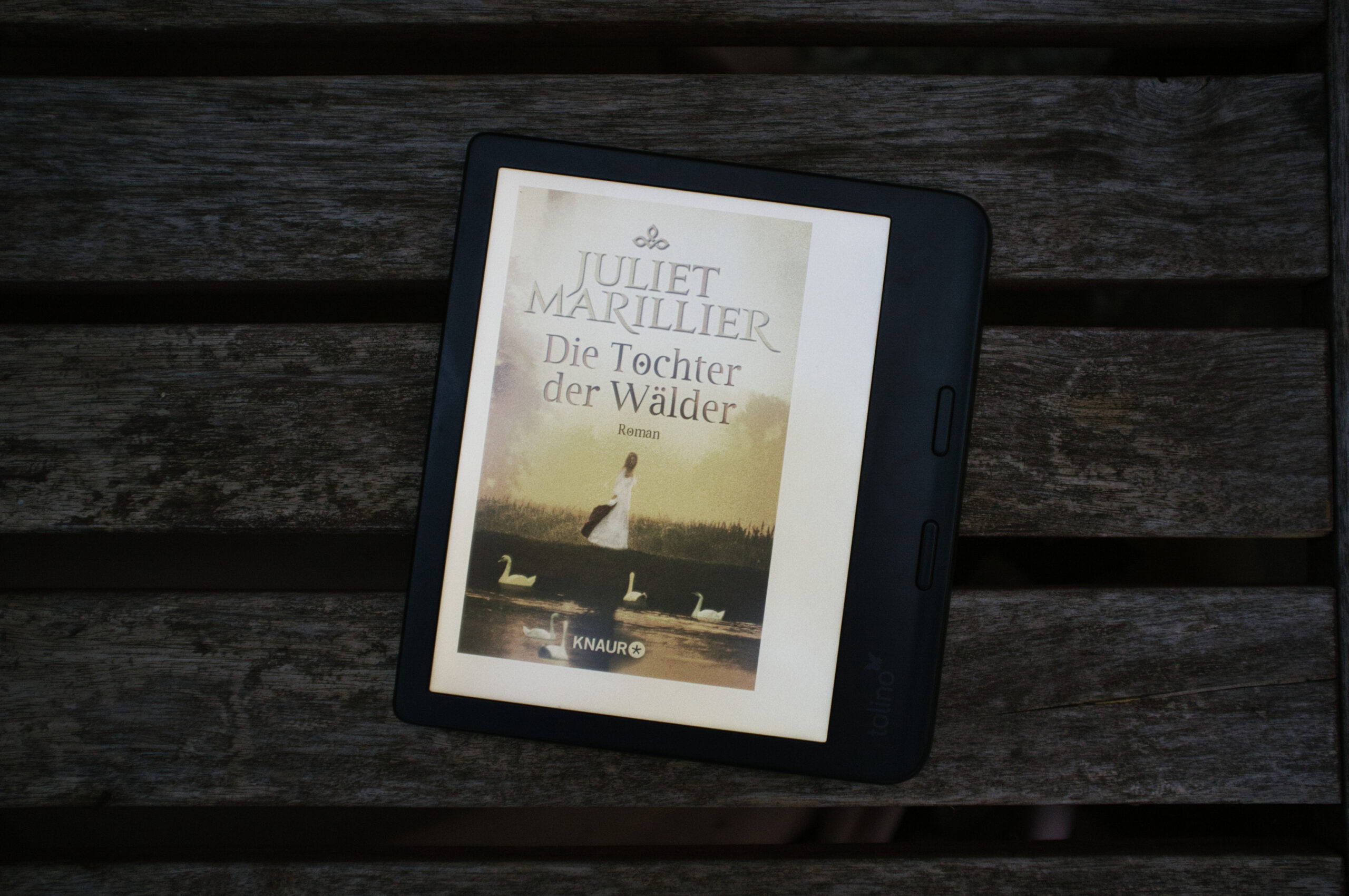 Die Tochter der Wälder – Juliet Marillier